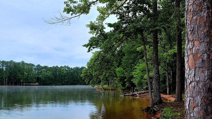 MOP ON WEST POINT LAKE AT L0NG CANE PARK 2021&nbsp;001