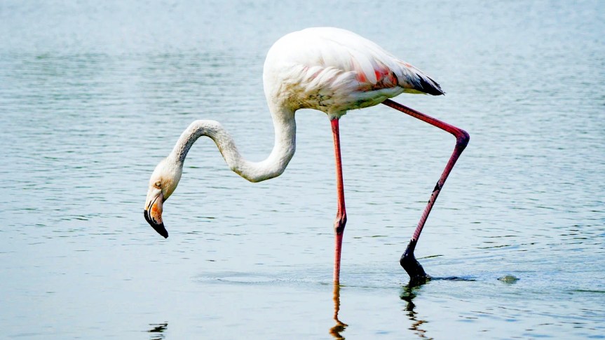 USEFUL AND INTERESTING WEBSITES RELATED TO&nbsp;GRAPHICS