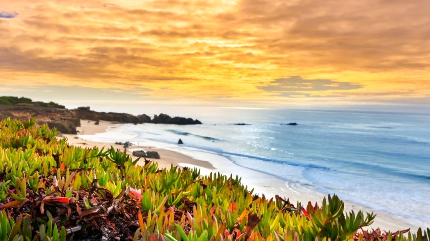 USEFUL AND INTERESTING WEBSITES RELATED TO NATURE AND THE&nbsp;OUTDOORS