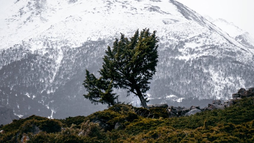 USEFUL AND INTERESTING WEBSITES&nbsp;U